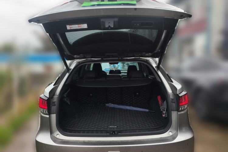 Used Lexus RX 2021 300 Four-Wheel Drive Special Edition Trunk