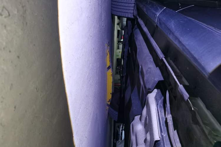 Used Lexus RX 2021 300 Four-Wheel Drive Special Edition Chassis Rear Left