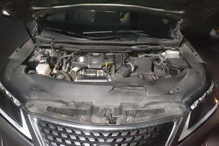 Used Lexus RX 2021 300 Four-Wheel Drive Special Edition Engine Bay