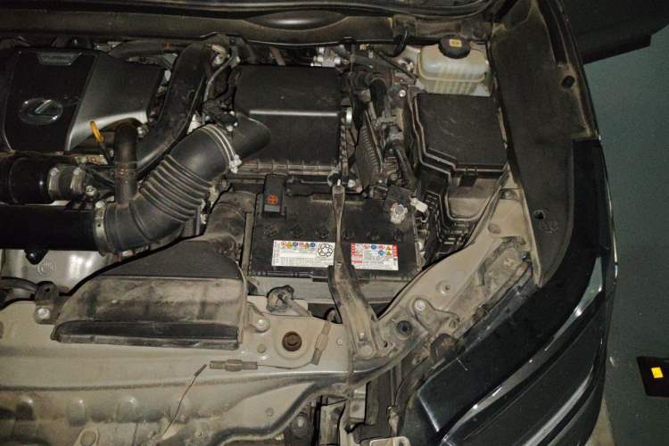 Used Lexus RX 2021 300 Four-Wheel Drive Special Edition Engine Bay Left