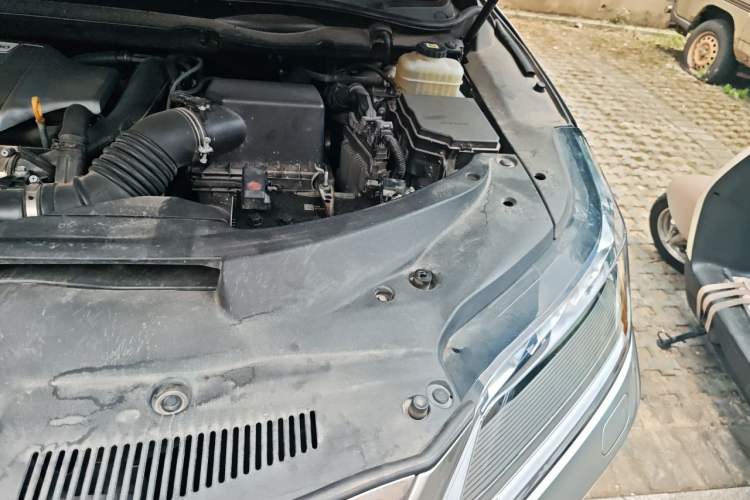 Used Lexus RX 2021 300 Four-Wheel Drive Special Edition Engine Bay Left