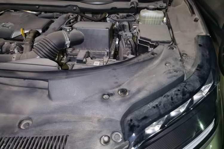Used Lexus RX 2021 300 Four-Wheel Drive Special Edition Engine Bay Left