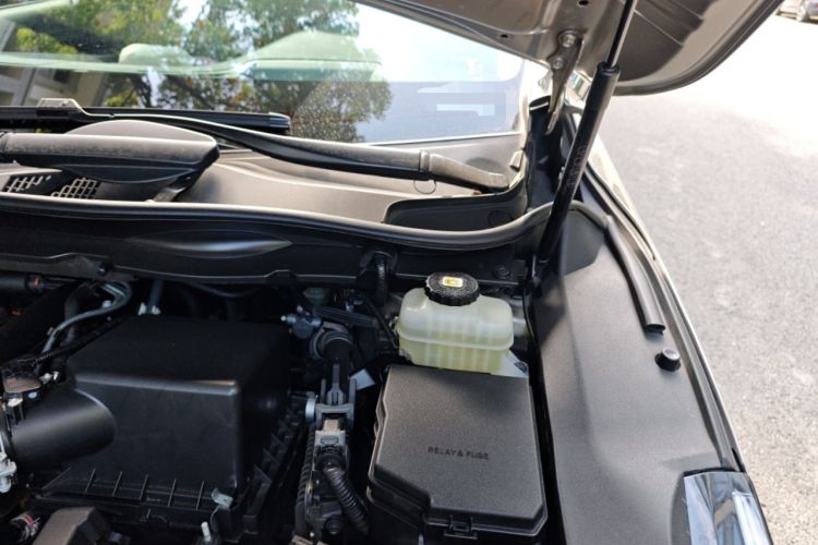 Used Lexus RX 2021 300 Four-Wheel Drive Special Edition Engine Bay Left