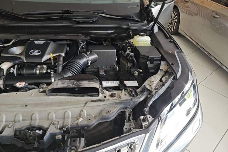 Used Lexus RX 2021 300 Four-Wheel Drive Special Edition Engine Bay Left
