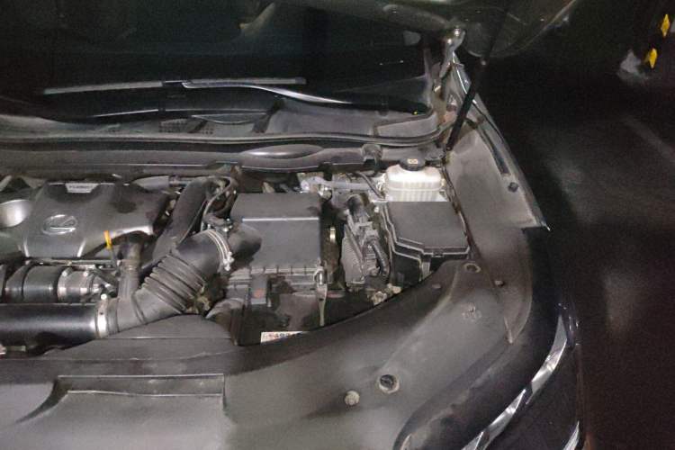 Used Lexus RX 2021 300 Four-Wheel Drive Special Edition Engine Bay Left
