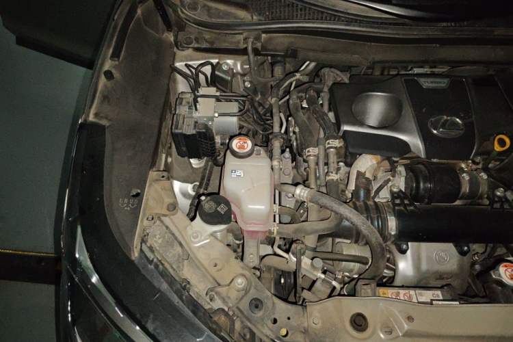 Used Lexus RX 2021 300 Four-Wheel Drive Special Edition Engine Bay Right