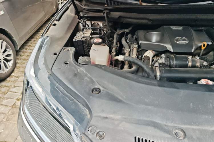 Used Lexus RX 2021 300 Four-Wheel Drive Special Edition Engine Bay Right