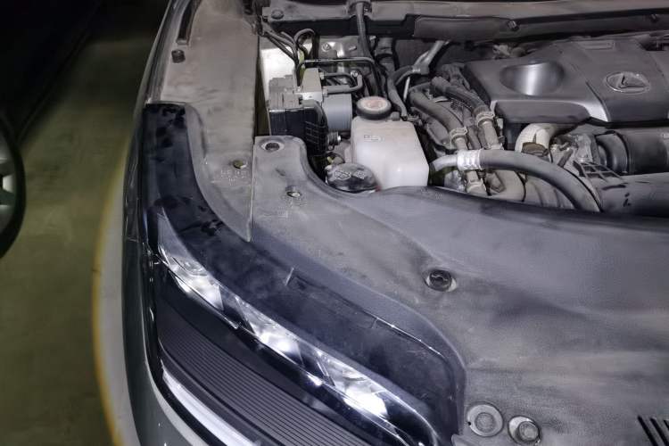 Used Lexus RX 2021 300 Four-Wheel Drive Special Edition Engine Bay Right