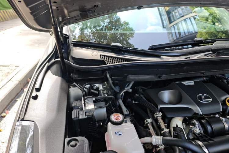 Used Lexus RX 2021 300 Four-Wheel Drive Special Edition Engine Bay Right