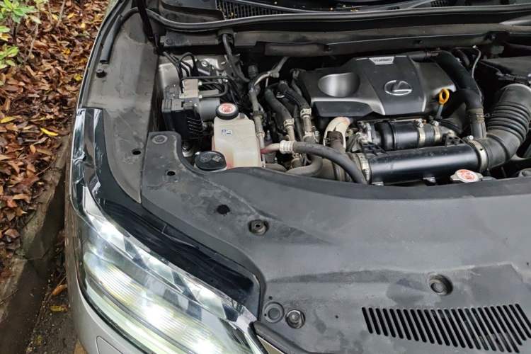Used Lexus RX 2021 300 Four-Wheel Drive Special Edition Engine Bay Right