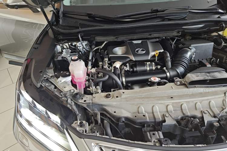 Used Lexus RX 2021 300 Four-Wheel Drive Special Edition Engine Bay Right