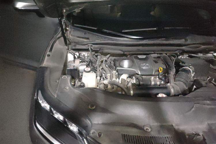 Used Lexus RX 2021 300 Four-Wheel Drive Special Edition Engine Bay Right