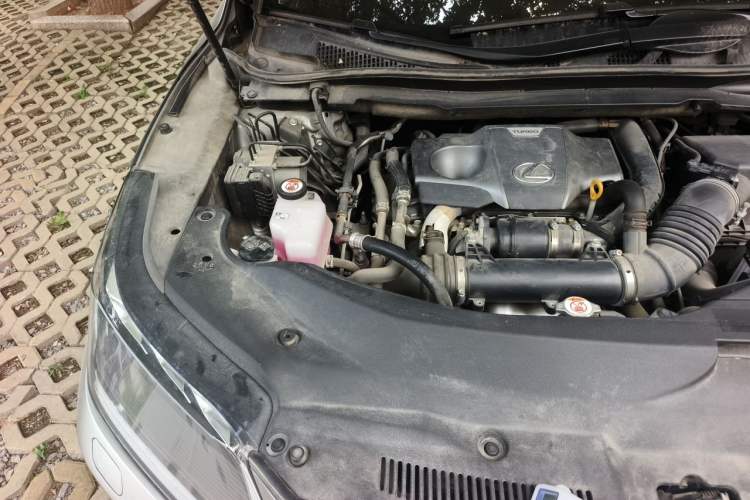 Used Lexus RX 2021 300 Four-Wheel Drive Special Edition Engine Bay Right