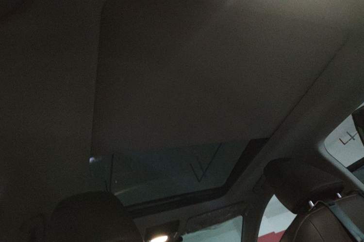 Used Lexus RX 2021 300 Four-Wheel Drive Special Edition Headliner