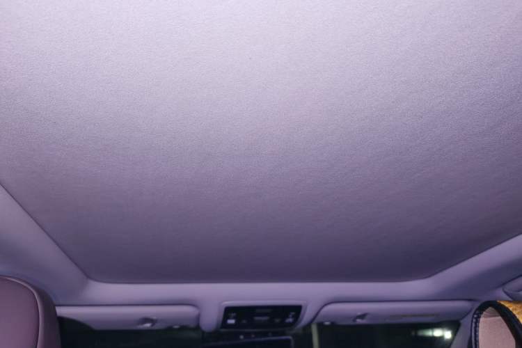 Used Lexus RX 2021 300 Four-Wheel Drive Special Edition Headliner