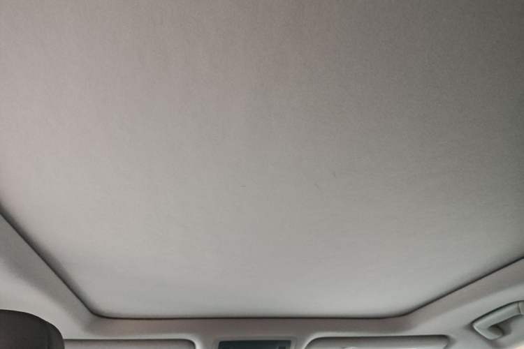 Used Lexus RX 2021 300 Four-Wheel Drive Special Edition Headliner