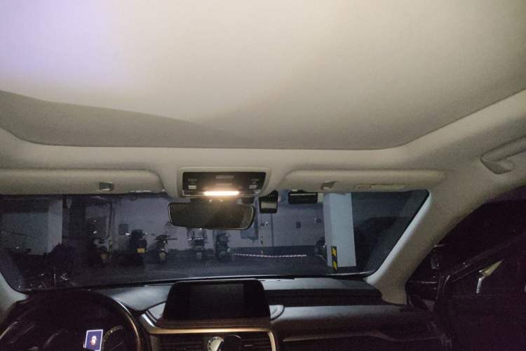 Used Lexus RX 2021 300 Four-Wheel Drive Special Edition Headliner