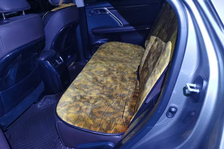 Used Lexus RX 2021 300 Four-Wheel Drive Special Edition Left Rear Seat
