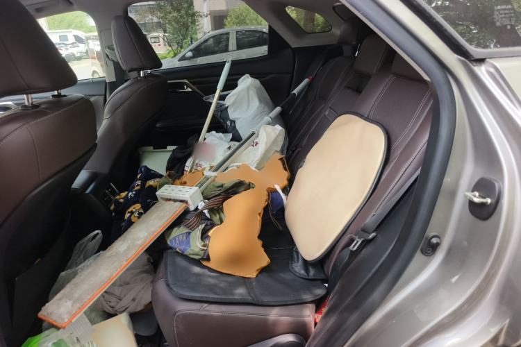 Used Lexus RX 2021 300 Four-Wheel Drive Special Edition Left Rear Seat