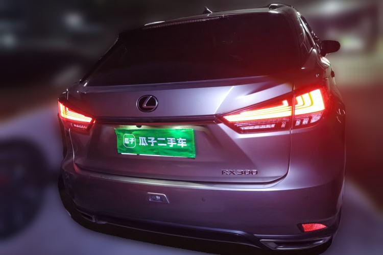 Used Lexus RX 2021 300 Four-Wheel Drive Special Edition Rear