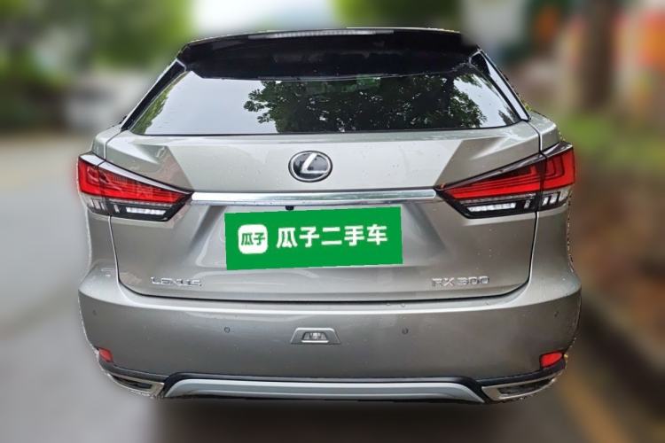 Used Lexus RX 2021 300 Four-Wheel Drive Special Edition Rear