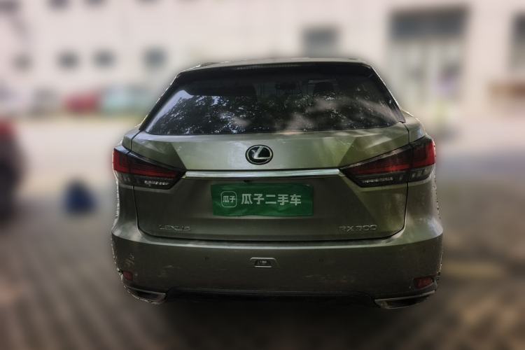 Used Lexus RX 2021 300 Four-Wheel Drive Special Edition Rear