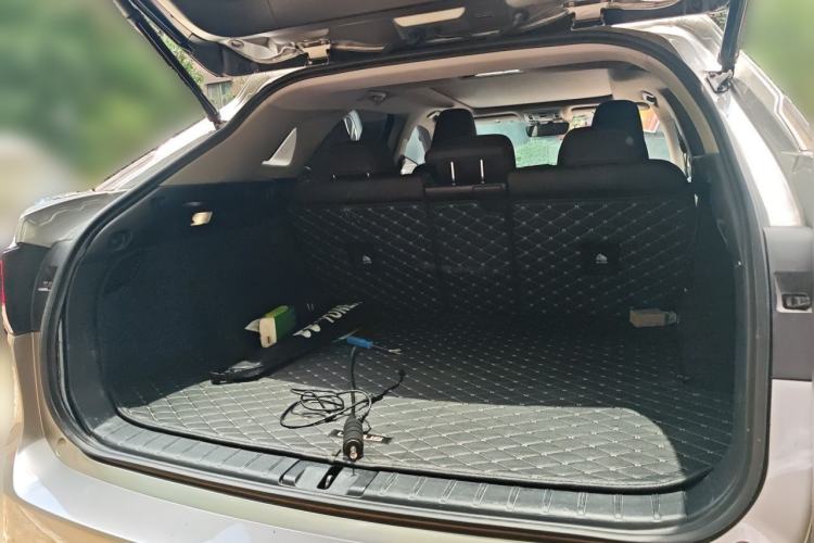 Used Lexus RX 2021 300 Four-Wheel Drive Special Edition Trunk