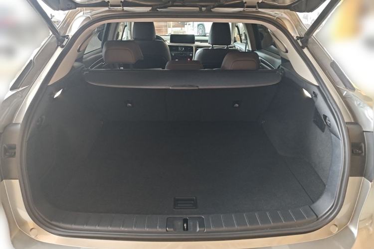Used Lexus RX 2021 300 Four-Wheel Drive Special Edition Trunk