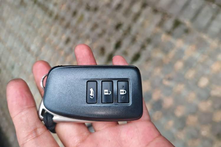 Used Lexus RX 2021 300 Four-Wheel Drive Special Edition Vehicle Key