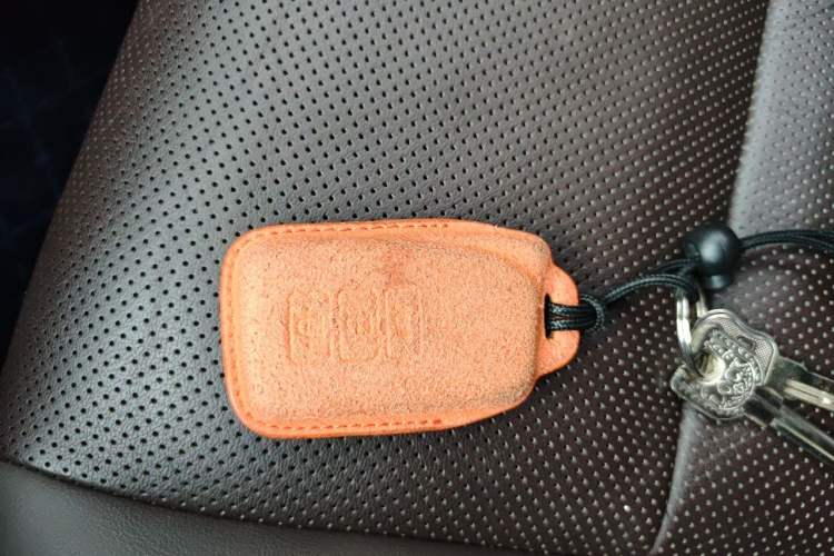 Used Lexus RX 2021 300 Four-Wheel Drive Special Edition Vehicle Key