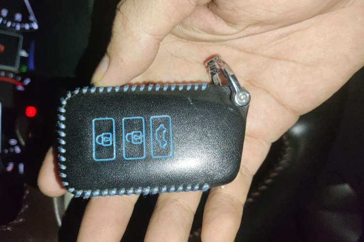 Used Lexus RX 2021 300 Four-Wheel Drive Special Edition Vehicle Key