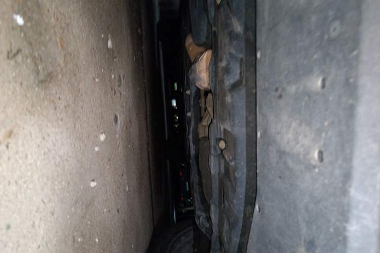 Used Lexus RX 2021 300 Four-Wheel Drive Special Edition Chassis Front