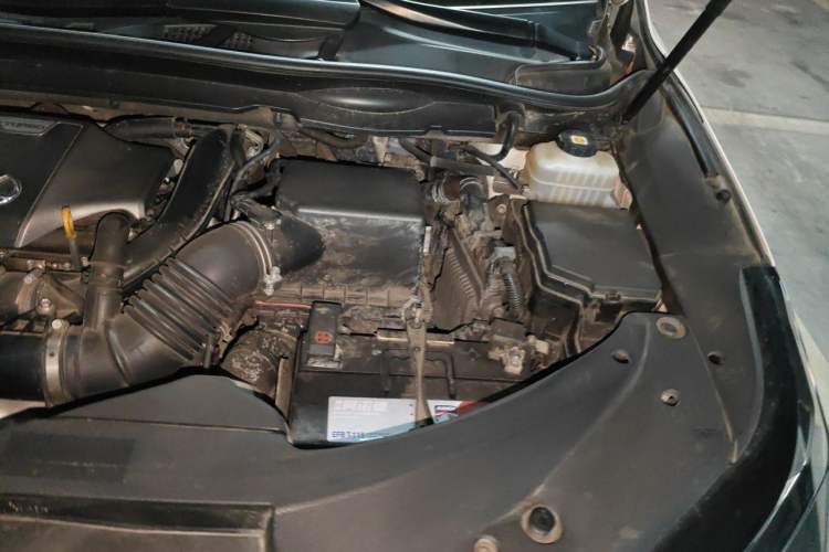 Used Lexus RX 2021 300 Four-Wheel Drive Special Edition Engine Bay Left