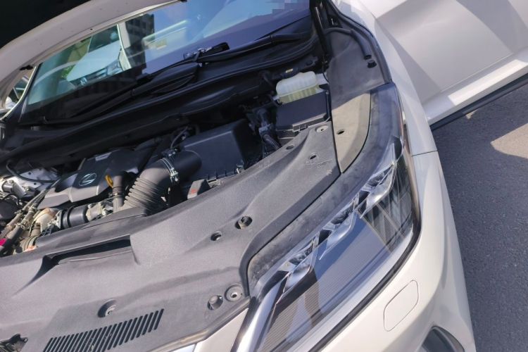 Used Lexus RX 2021 300 Four-Wheel Drive Special Edition Engine Bay Left
