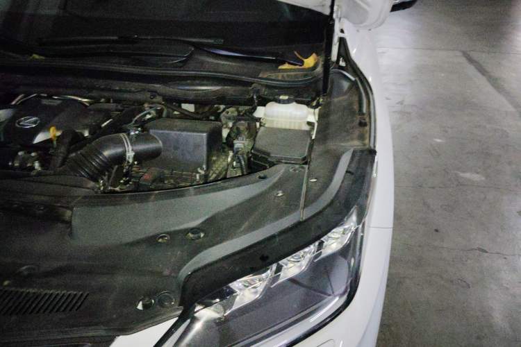Used Lexus RX 2021 300 4x4 F SPORT Engine Bay Left