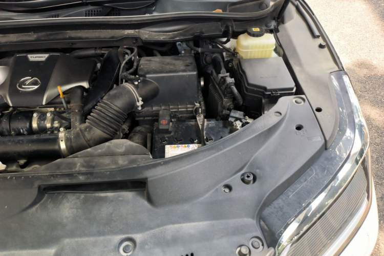 Used Lexus RX 2021 300 Four-Wheel Drive Special Edition Engine Bay Left