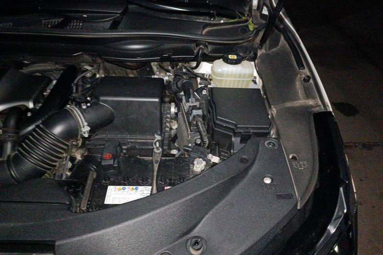 Used Lexus RX 2021 300 Four-Wheel Drive Special Edition Engine Bay Left