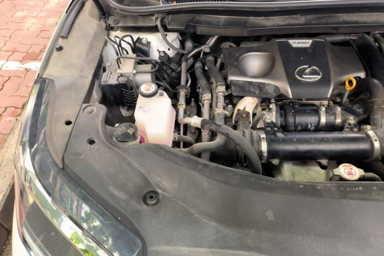 Used Lexus RX 2021 300 Four-Wheel Drive Special Edition Engine Bay Right