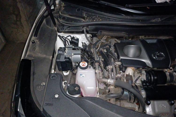 Used Lexus RX 2021 300 Four-Wheel Drive Special Edition Engine Bay Right