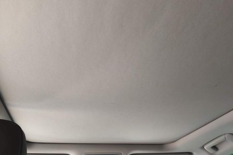 Used Lexus RX 2021 300 Four-Wheel Drive Special Edition Headliner