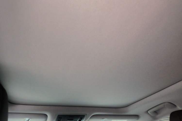Used Lexus RX 2021 300 Four-Wheel Drive Special Edition Headliner