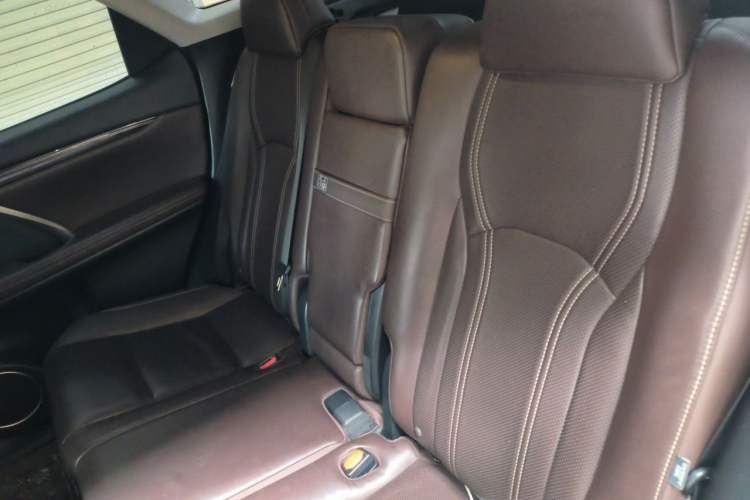 Used Lexus RX 2021 300 Four-Wheel Drive Special Edition Left Rear Seat