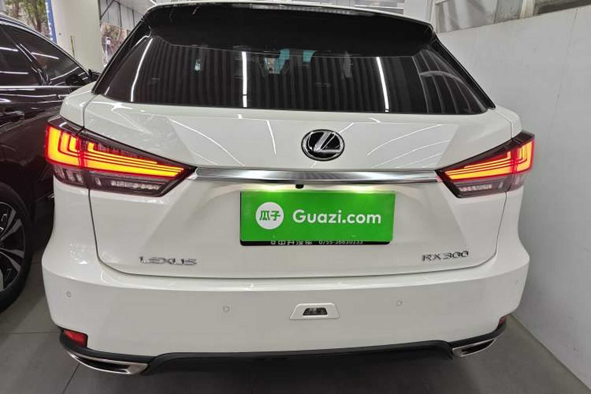 Used Lexus RX 2021 300 Four-Wheel Drive Special Edition Rear