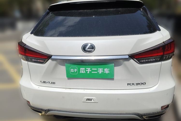 Used Lexus RX 2021 300 Four-Wheel Drive Special Edition Rear