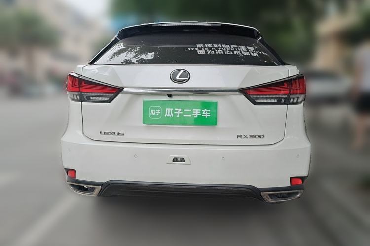 Used Lexus RX 2021 300 Four-Wheel Drive Special Edition Rear