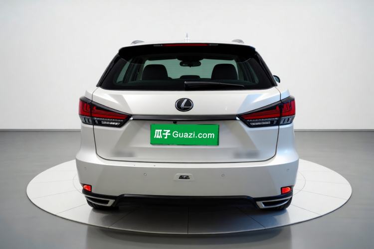 Used Lexus RX 2021 300 Four-Wheel Drive Special Edition Rear