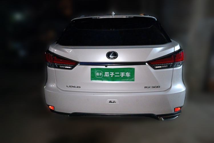 Used Lexus RX 2021 300 Four-Wheel Drive Special Edition Rear