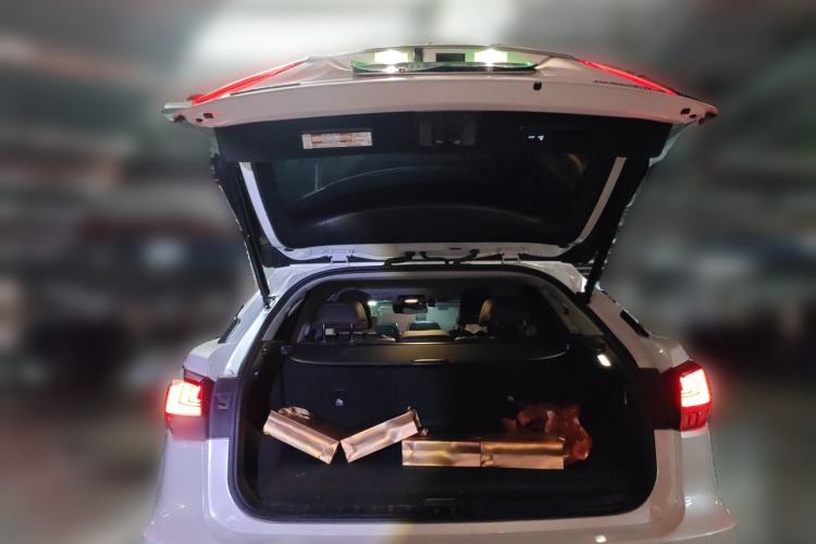 Used Lexus RX 2021 300 Four-Wheel Drive Special Edition Trunk