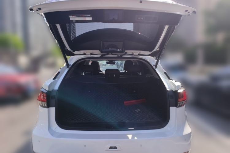 Used Lexus RX 2021 300 Four-Wheel Drive Special Edition Trunk