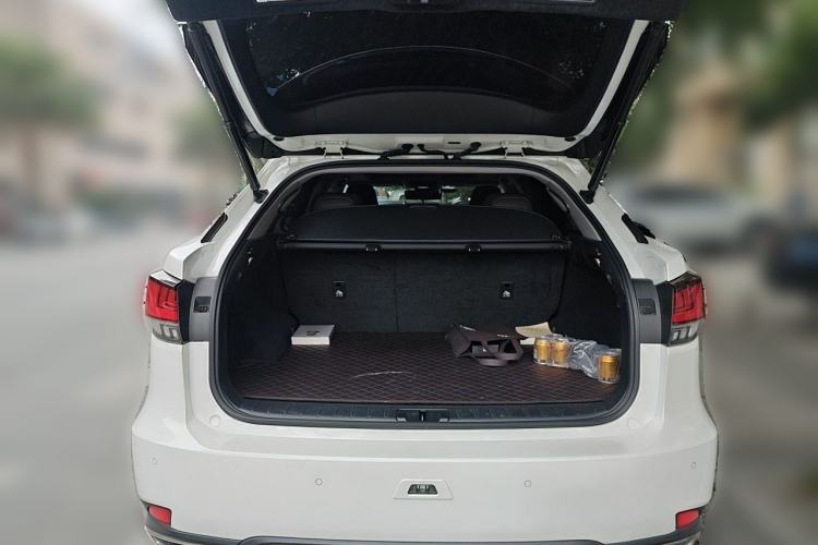 Used Lexus RX 2021 300 Four-Wheel Drive Special Edition Trunk